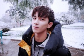 娱乐圈吃瓜指南吴磊,娱乐圈吃瓜指南中的青春偶像