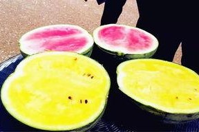 洗米华吃瓜爆料,一场惊天爆料的背后